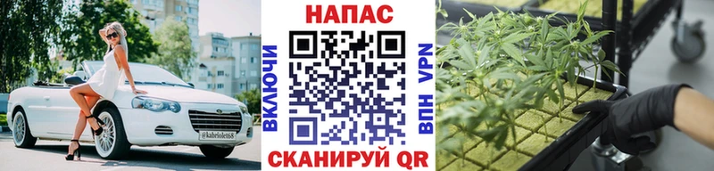 Где можно купить наркотики Белёв Гашиш  omg вход  Меф  СОЛЬ  Каннабис  Cocaine 